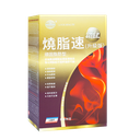 燒脂速.png